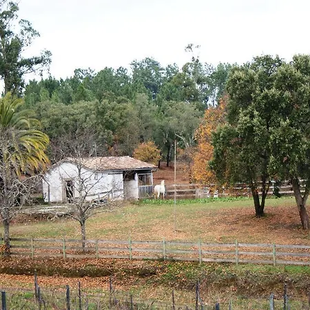 Do Bonjardim Farm stay CENTRE PORTUGAL