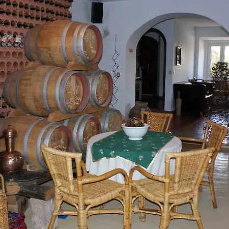 Do Bonjardim Farm stay