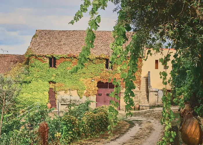 Agroturismo Do Bonjardim *