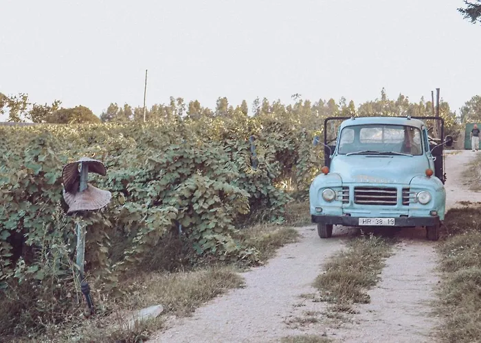 Do Bonjardim * CENTRE PORTUGAL