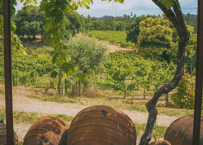 Do Bonjardim Agroturismo CENTRE PORTUGAL